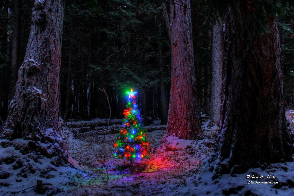 Christmas Spirit